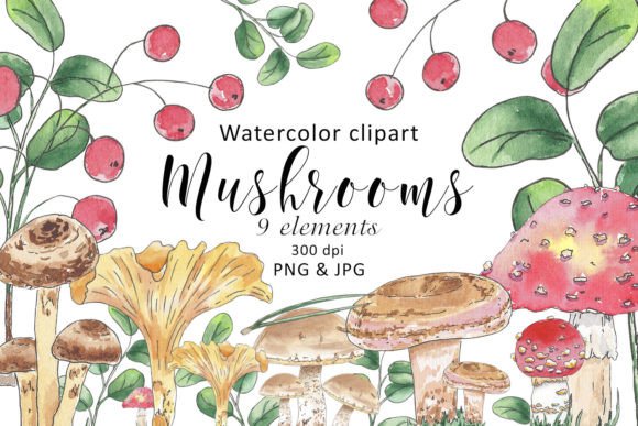 Bringing Nature to Life with Mushrooms Berry Leaf Watercolor Clipart