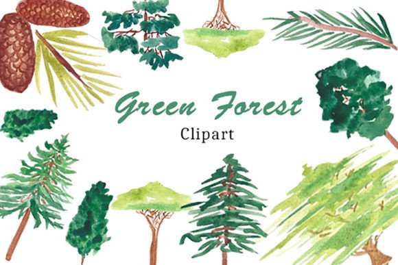 Watercolor Green Forest Clipart PNG