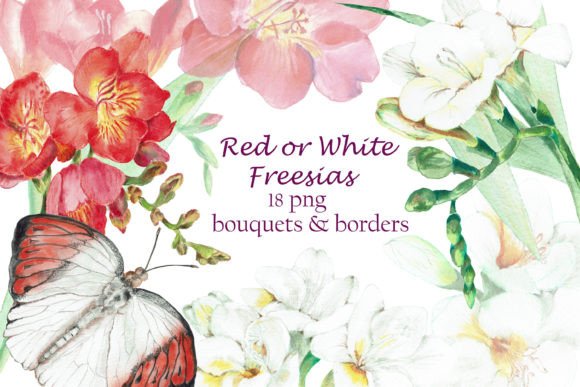 Watercolor Red White Freesias Clipart: A Designer's Guide to Elegant Floral Assets